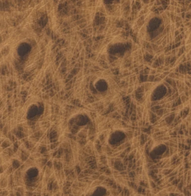 Fauxstrich Wallet - Image 3